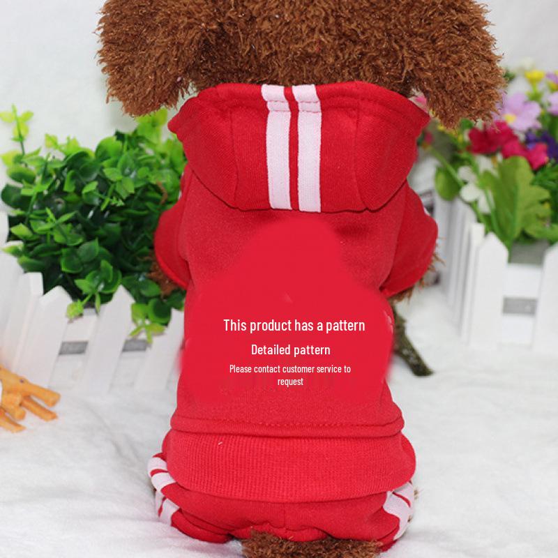 Ρούχα για Κουτάβια Teddy: Ζεστά Φθινοπωρινά & Χειμερινά Ρούχα για Πουντλ, Μπισόν και Πομεράνιαν