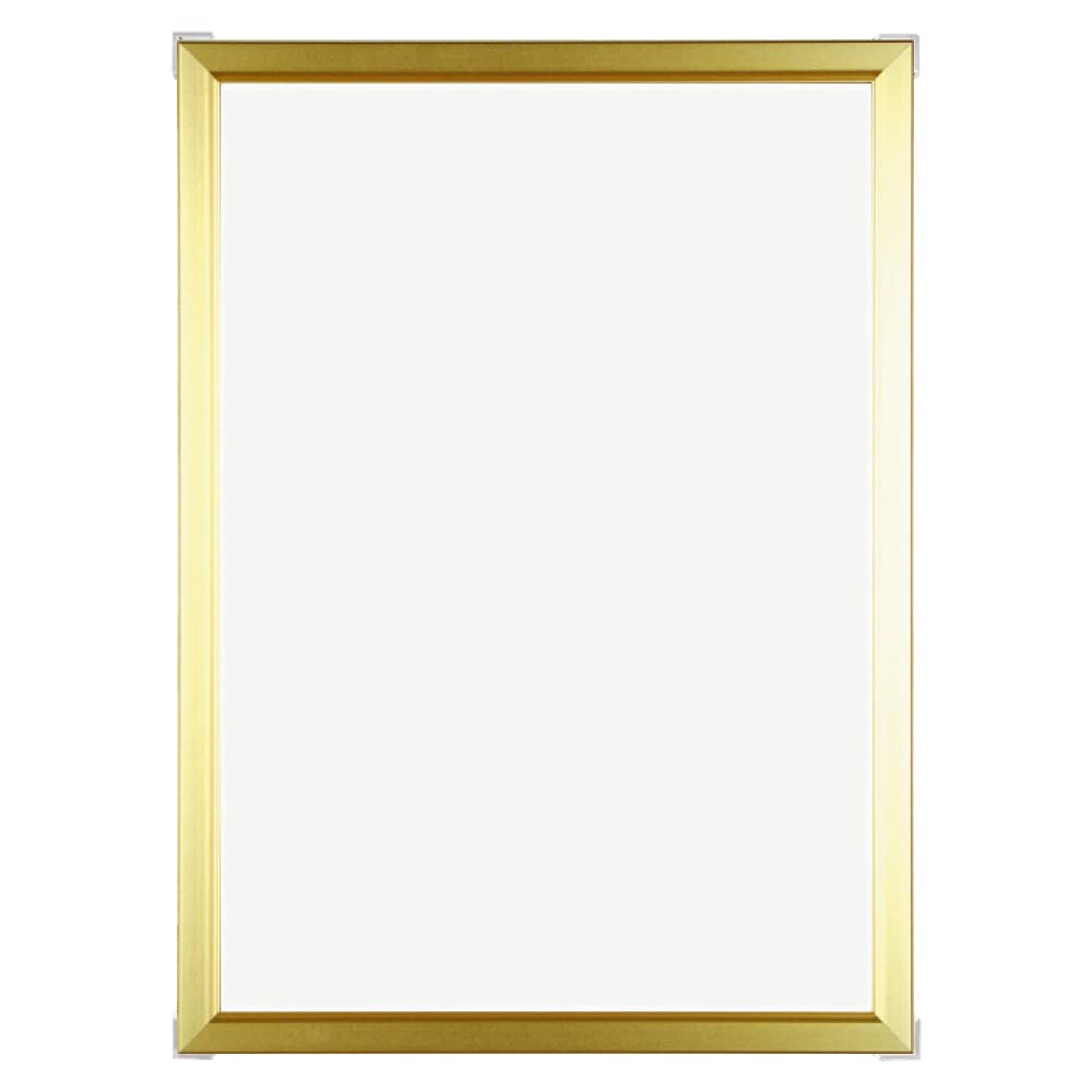 Art Print Japan APJ Frame E Frame A1 Gold 1000010804