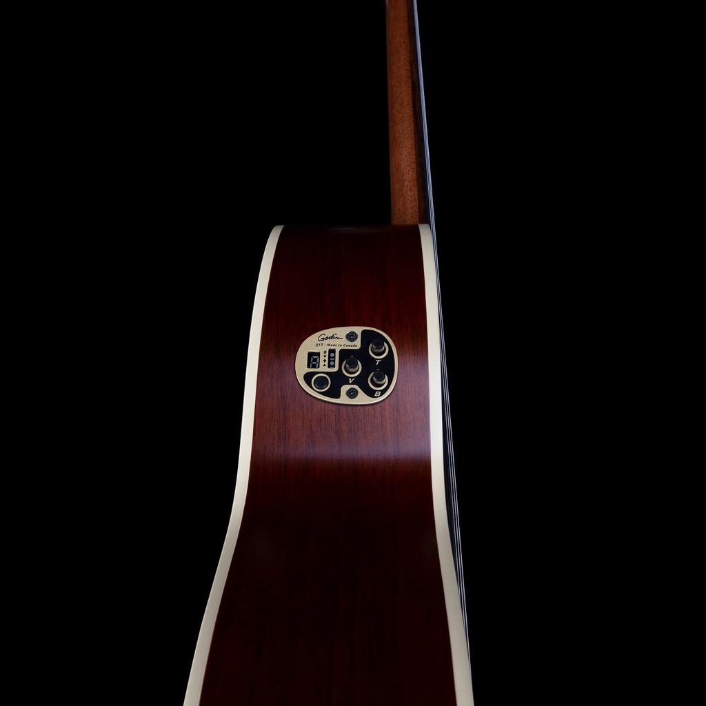 Godin Nylon Guitar Classical Guitar Solid Cedar Top Motif 049738 []
