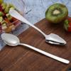 304 Stainless Steel Spoons Silver Dessert Spoon High Quality Grapefruit Spoons