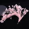 10-12" Natural Rooster Coque Tail Feather Mardi Gras Craft for Carnival Party Masquerade Stage Performances Costume Decoration