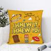 I Knew It I Knew You Square Pillow Cases TS Cushion Covers Creative Zipper Decorative Pillowcover for Car Xcm