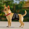 Male Dog Belly Band Diaper Wrap Adjustable Washable Mesh Absorbent Sanitary Wrap Anti Marking Indoor Outdoor Pet Hygiene Training for Male Dogs