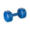 Bituminous Dumbbells 2X4Kg Dumbbell Set For Rebel Exercises