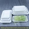 Disposable White Fresh Produce & Egg Trays