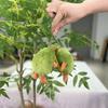Plush Fun Avocado Keychain Toy Super Soft Material Ideal For Kids And Collectors
