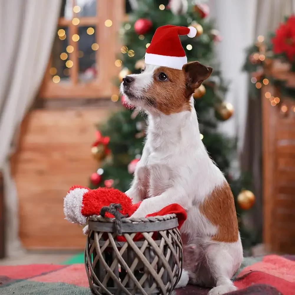 Chapéu de Cão Chapéu de Natal Listrado para Animais de Estimação Multicolorido Gato Cão Fantasia Chapéu para Cabeça Chapéus para Cães de Estimação para Decoração de Festa de Natal
