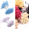 Stylish Florals Stamens Crafting Materials With Natural Texture and Safe Designs
