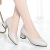 Fashion Work Mother Soft Sole Comfortable Mid-heel Single Shoes Women Thick Heel Middle-aged Non-slip Soft Leather Shoes Spring Autumn