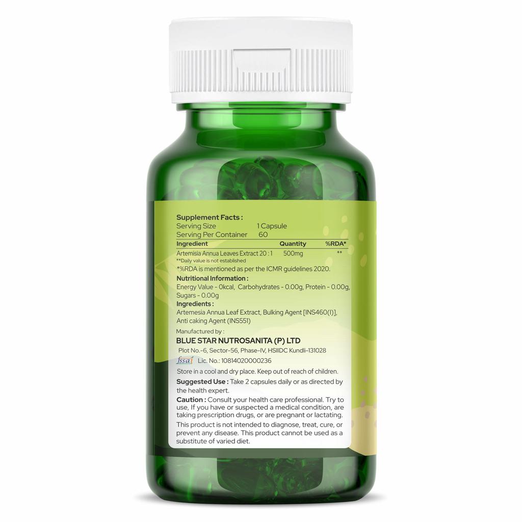 Organic Zing Artemisinin Capsules - 60 Caps, 500mg - Vegan, Gluten-Free Extract for Immune Support & Holistic Wellness from Artemisia Annual