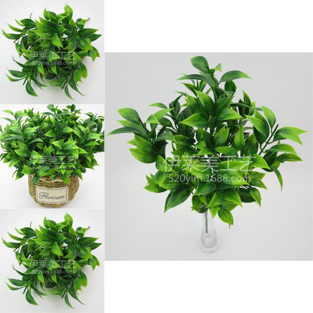 Plastic Citrus Reticulata Blanco Leaf Plant Wall Decor For Garden Landscaping And Indoor Decoration