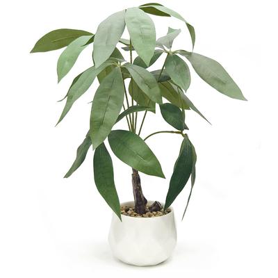 Ninian and Kino Faux Green Pachira In a 35cm Ceramic Artificial Plant with a Realistic No Maintenance Will Not Indoor Decorative Perfect for Living