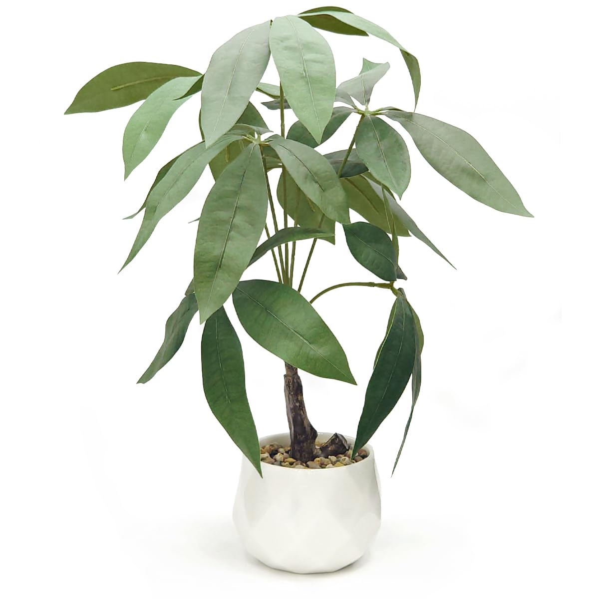 

Ninian and Kino Faux Green Pachira in a 35cm Ceramic Artificial Plant with a Realistic No Maintenance Will Not Indoor Decorative Perfect for Living