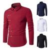 Herrenhemd Einfarbig Umlegekragen Zweireihig Eng Frühling T-Shirt für die Arbeit