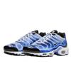 Nike Air Max Plus Light Photography Old Royal