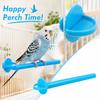 Plastic Bird with Nail Grinding Surface for Pet Birds