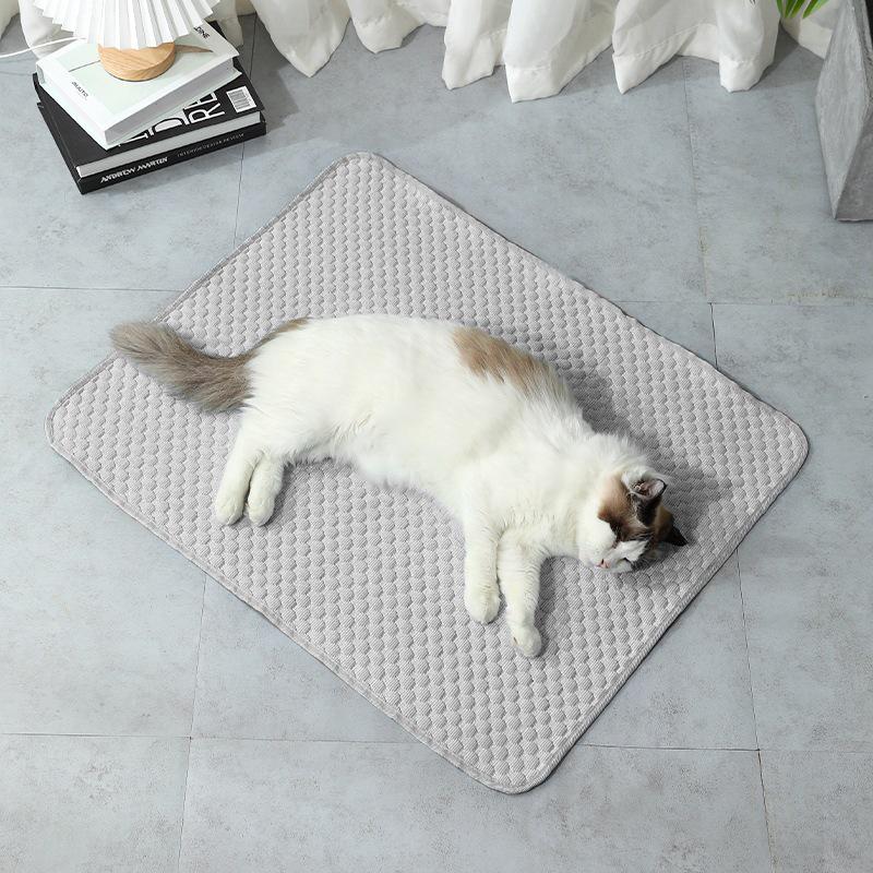 Summer Cooling Ice Pad: Ice Silk Mat for Dogs and Cats