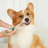 Pet Pills Applicator Cats Dogs Syringe Medicine Feeder Insect Repellent Supplies Can Clip Pills Cats and Dogs Pet Water Feeder
