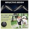 Breathable Mesh Dog Harness  Car Automotive Seat Safety Dog Chest Straps Outdoor Training  Adjustable Straps Pet Leash With