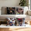 Classic House MD Pillow Case Antidustmite Pillowcase Invisible Zipper Silky Short Plush Sofa Cushion Cover