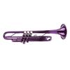 Sada trumpety B-dur Mosazné náhradní hudební nástroje s úložnou taškou Fialová