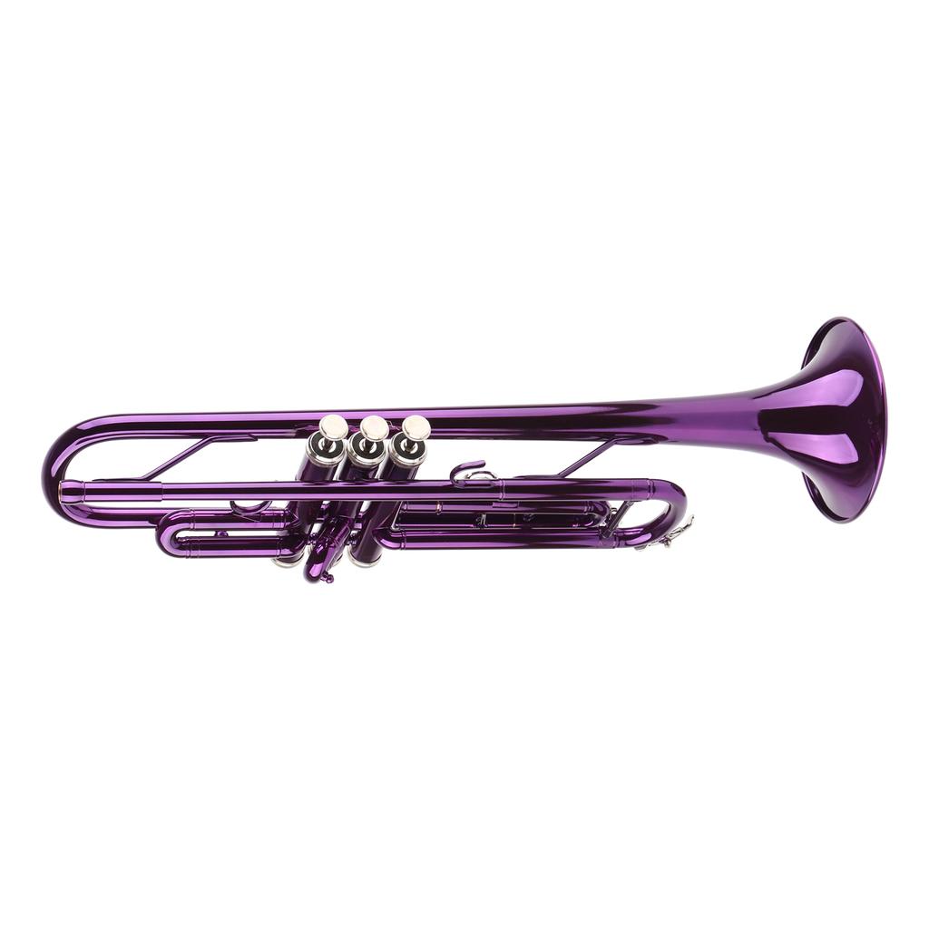 Trompeten-Set B, Messing, Ersatzteile, Musikinstrumentenzubehör mit Aufbewahrungstasche, Lila