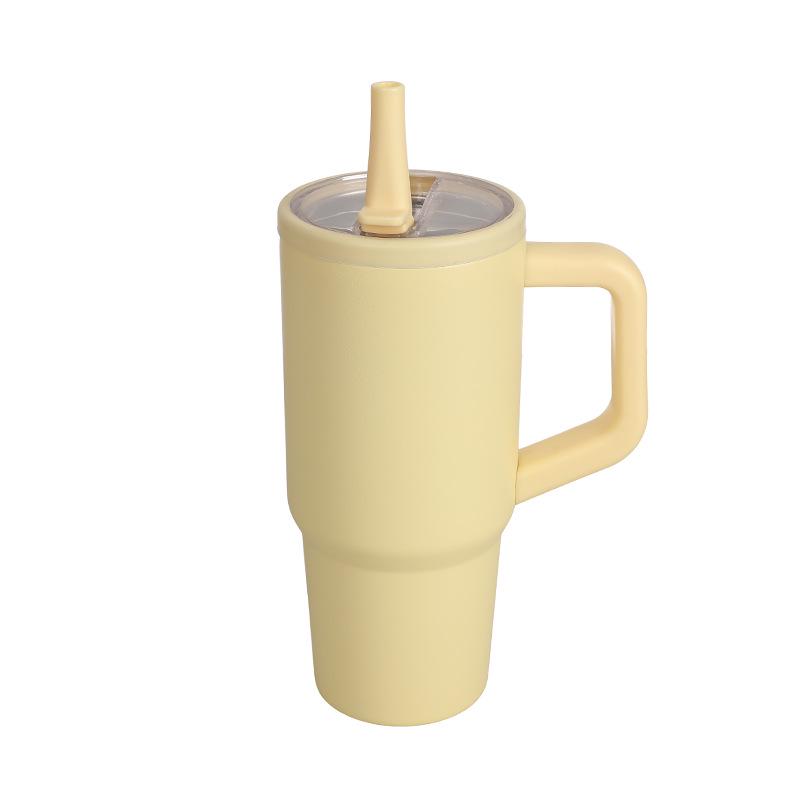 Popular 710ml Insulated Stainless Steel Water Bottle with Straw Lid & Handle