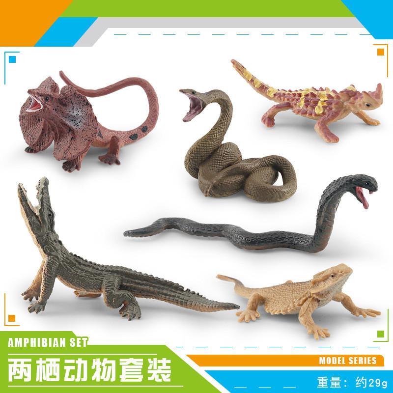 Detailed Pvc Frog Turtle Lizard Snake Chameleon Model Set For Nature Enthusiasts And Collectors