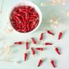 10/20/30pcs Chili Jewelry Alloy Pendant Red Chili Jewelry Bracelet Earrings Necklace DIY Craftsmanship Accessories