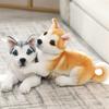 Soft Akita Dog Plush Toy Husky Stuffed Animal Toy Cute Puppy Doll  Home Decor