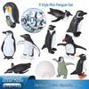 Mini Penguin Ice House Set: Adélie Penguin Polar Ornament