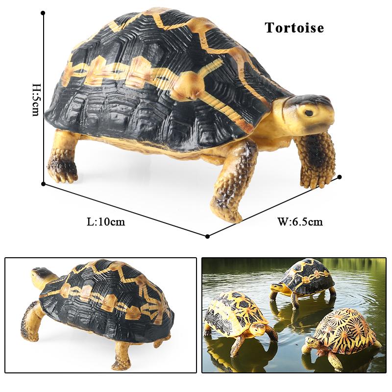 Oenux Sea Life Animals Model Leatherback Tortoise Turtle Growth Cycle Ocean Figurines Action Figures PVC Collection Kid Toy Gift