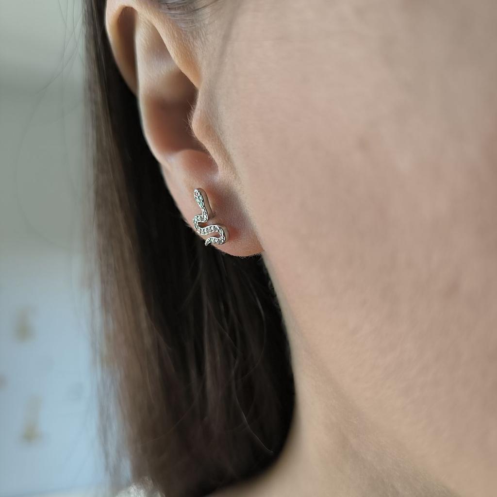 Orecchini in argento con zirconi cubici (2191681)