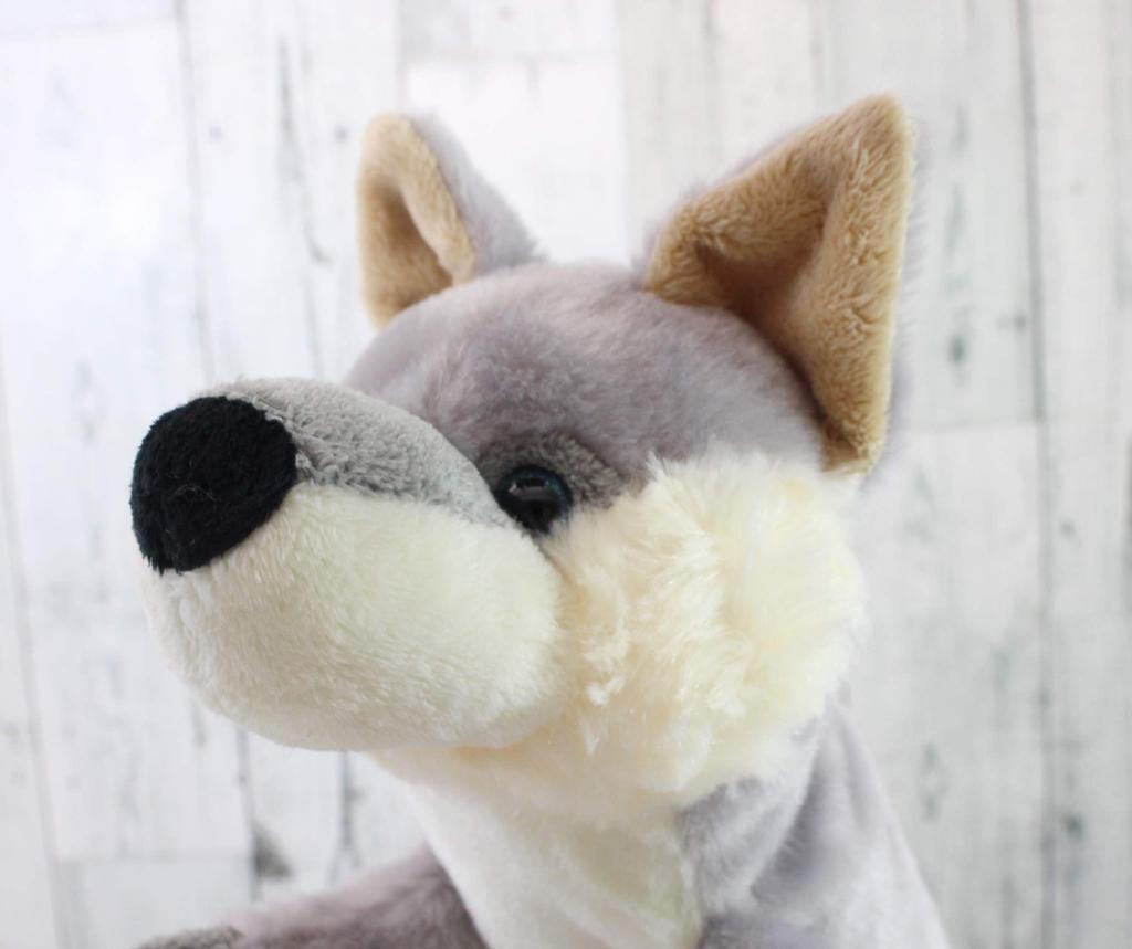 Take Off Pencil Case Sophie Wonderland Wolf