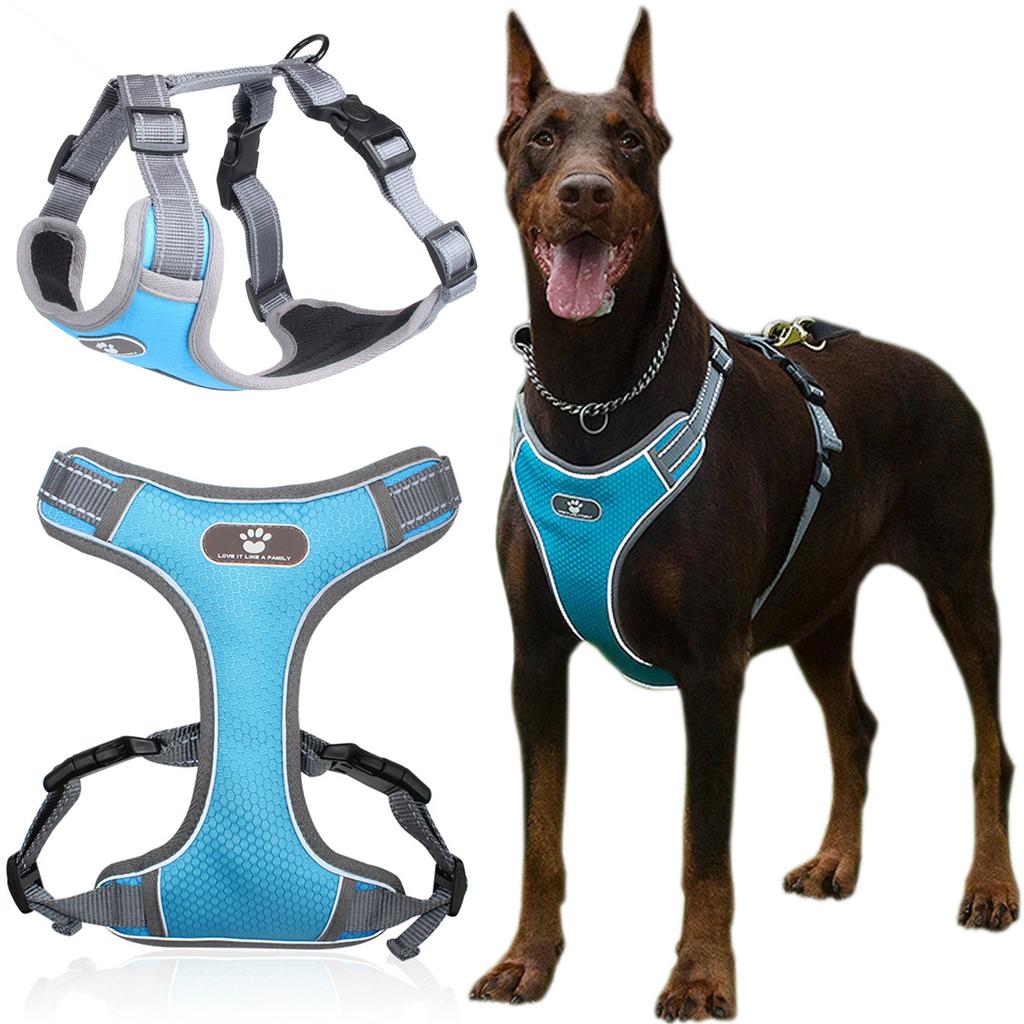 Astro Blue Training Harness For Walking Dogs, Size Xl