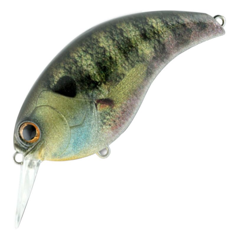 

Depths Evoque 3.0 #01 Real Bluegill