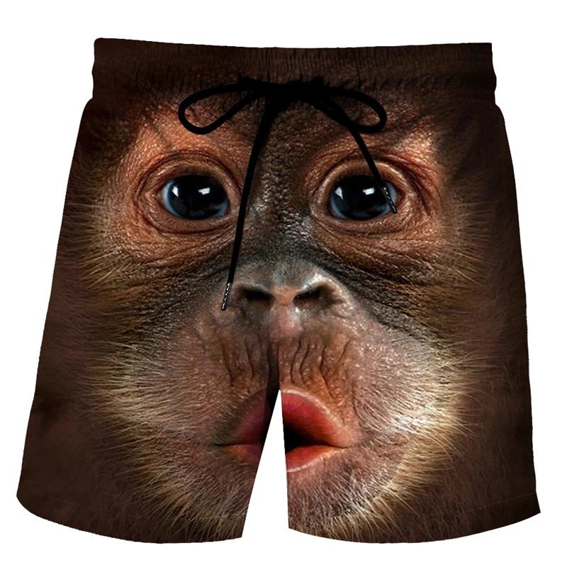 Fun Animal Pig 3D Print Sports Breathable Men Shorts Outdoor Street Vacation Beach Leisure Parent-child Clothing Pants