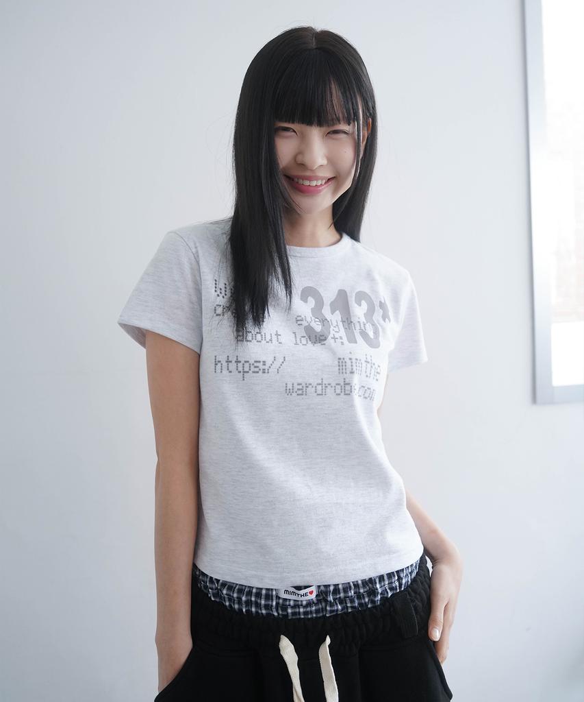 Mimdeowodeulobeu 313 Printed Crop T-Shirt_Gray