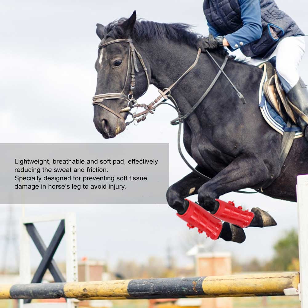A Set of Fore Hind Leg Boots Adjustable Leg Guard Protector Horse Riding EquipmentRed L