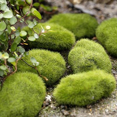 New 1 Pc Miniature Stone Moss Dollhouse Garden Craft Fairy Bonsai Plant Decor