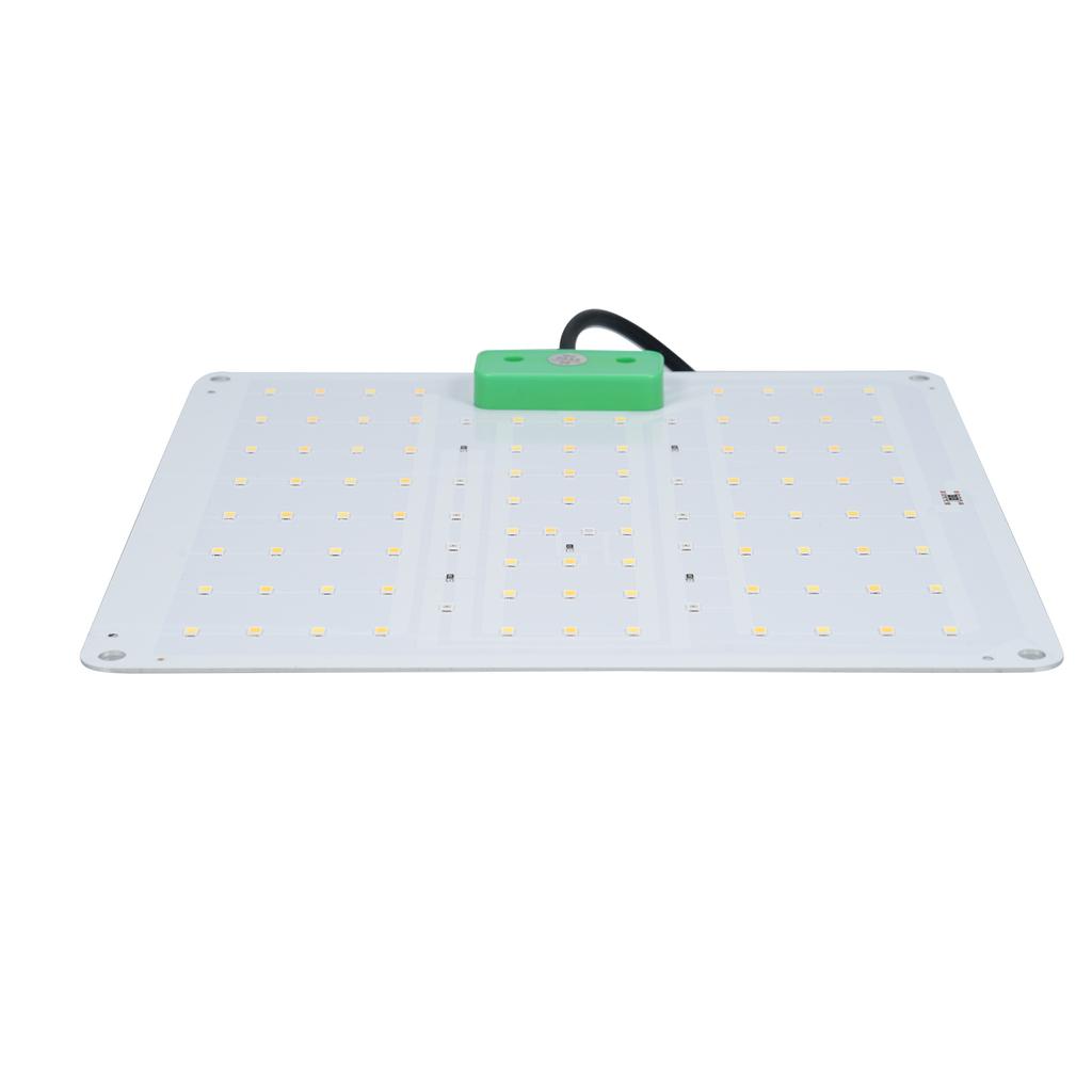 Full Spectrum Growth Light LED Indoor Plant Supplement Light 3000K 5000K IR UV Grow Light for Green