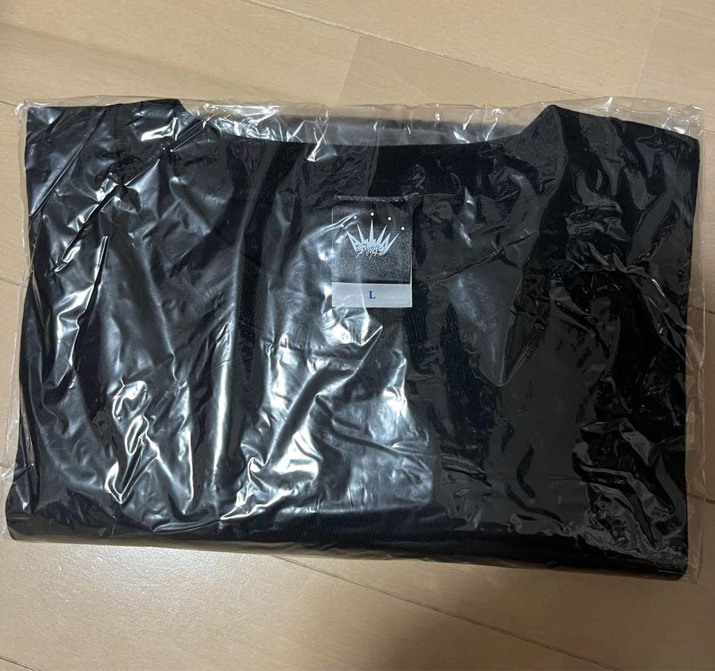 [GEBRAUCHT] Stray Kids ALL IN Langarmshirt