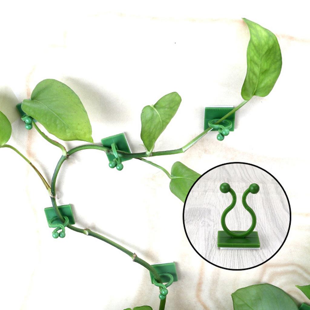 Plant Support Clips For Vine Plants Durable PP Plastic Adjustable Design Easy Installation Gardening Tool