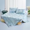 Luolai Super Soft Cooling Mat & Summer Quilt Set