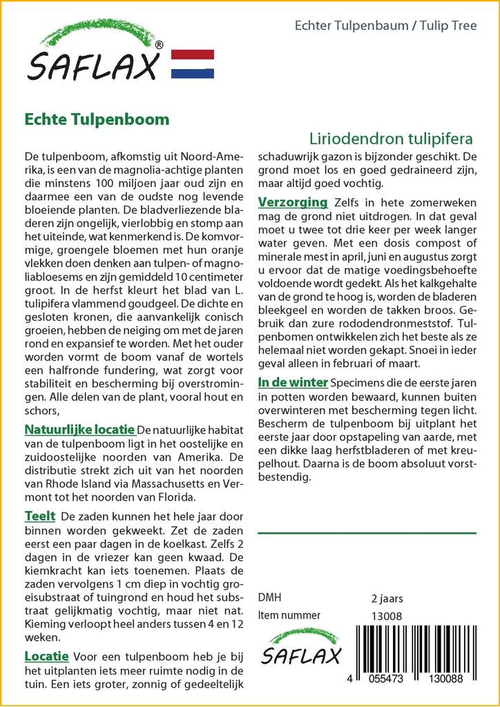 SAFLAX Tulip Tree - 20 Seeds - Liriodendron Tulipifera