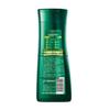 100 Years Runfa Classic Plant Conditioning Shampoo