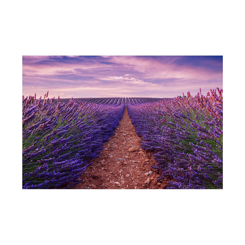 

Цветочный гобелен-фон с одуванчиками и лавандой, для мероприятий, баннер для вечеринки, домашний декор, свадьбы, фотобудки, ландшафтный декор 150*100cm-Unframed