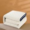WTEMPO White Winter Cashmere Woolen Mattress Pads School Dormitories/Home Bed Single and Double Thickened Warm Soft Mattress Quilts