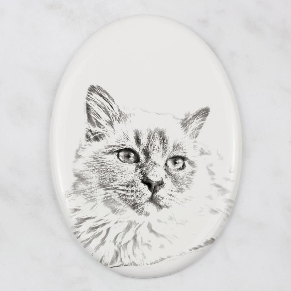 Birman - commemorative plaque with a cat photo, tombstone with a print, personalized oval plaque from the Art-Dog brand