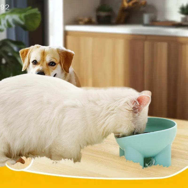 Elevated Cat Bowl With Stand - Durable Plastic Pet Food & Water Dish, Sleek Modern Neck-Friendly Feeding For Cats & Dogs